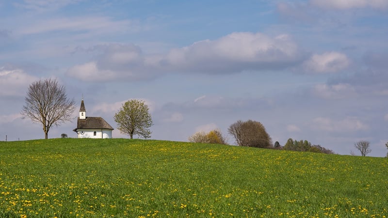 Fairytale Meadow